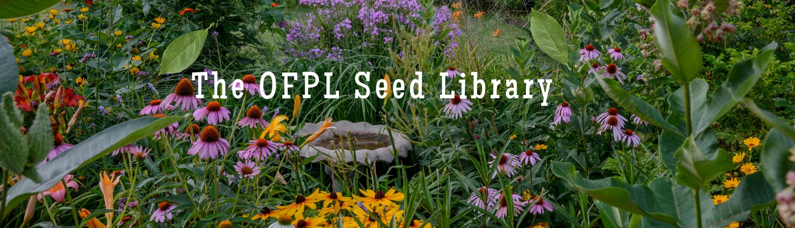 Library Seed